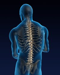 Human back with a visible pain @ IStock/COMOTIONDESIGN